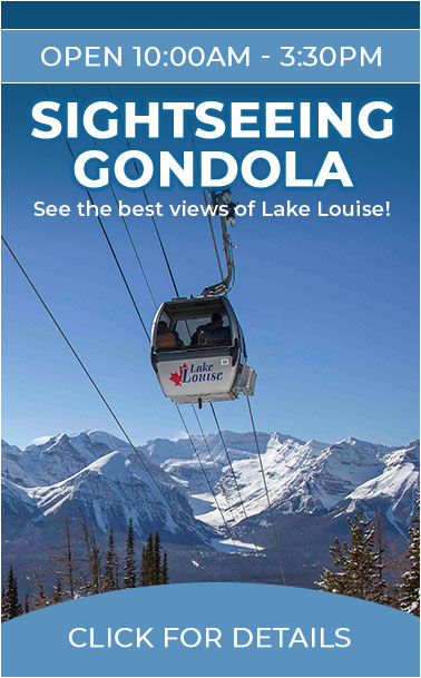 Winter Sightseeing Gondola