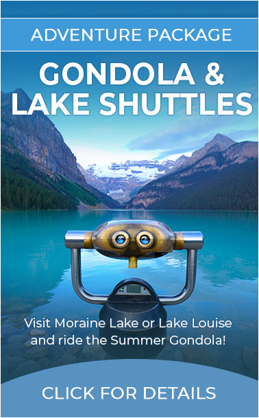Gondola & Moraine Lake Shuttles