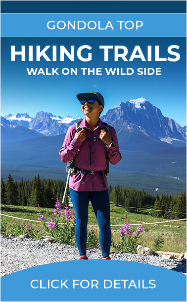 Lake Louise Hiking Trails