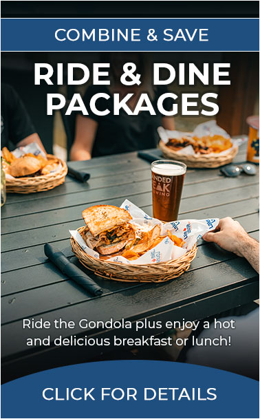 Gondola Ride & Dine Packages