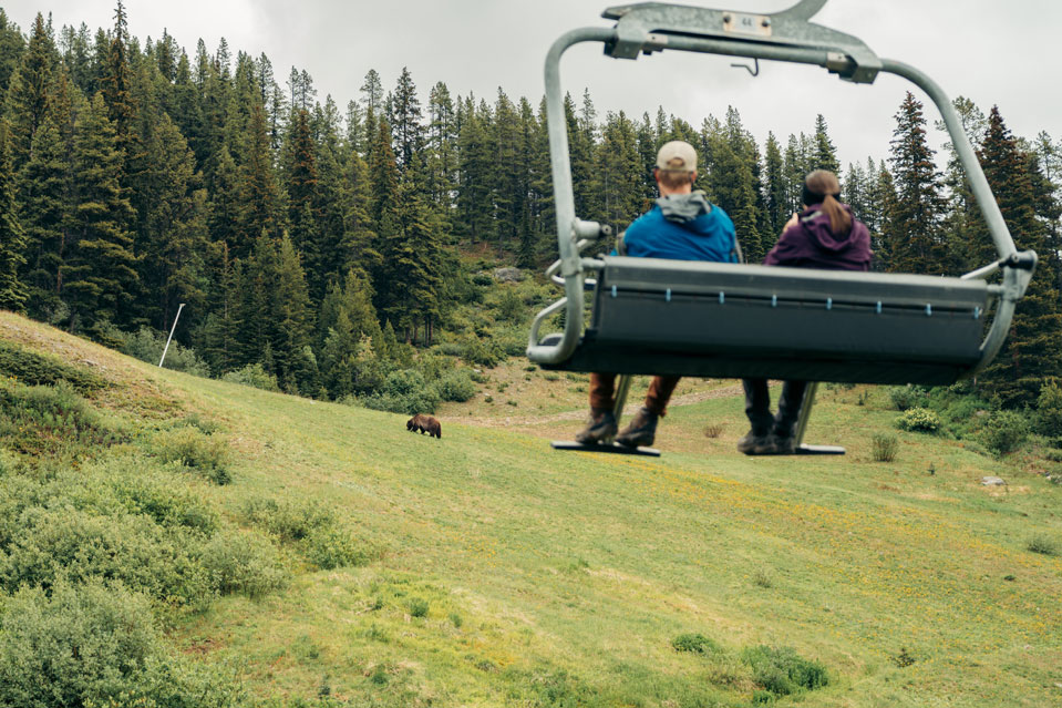 Gondola and Lakeshore Shuttle scenic view